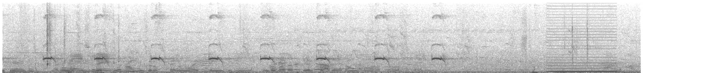 Pied Cuckoo - ML641588097