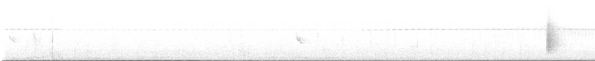 White-collared Manakin - ML641589705