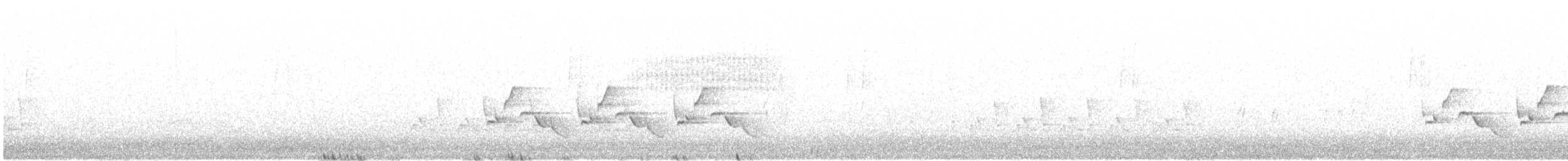 Carolina Wren - ML641589893