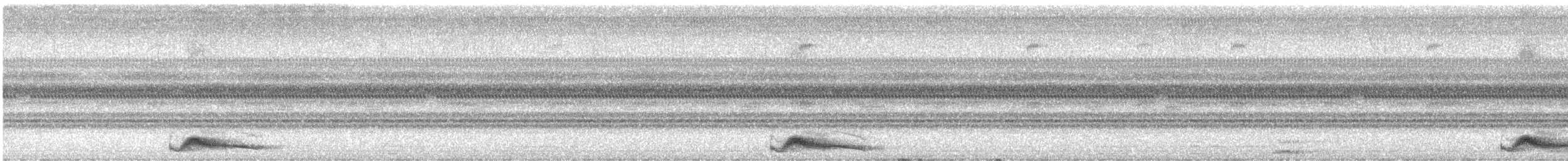 Common Pauraque - ML641590080