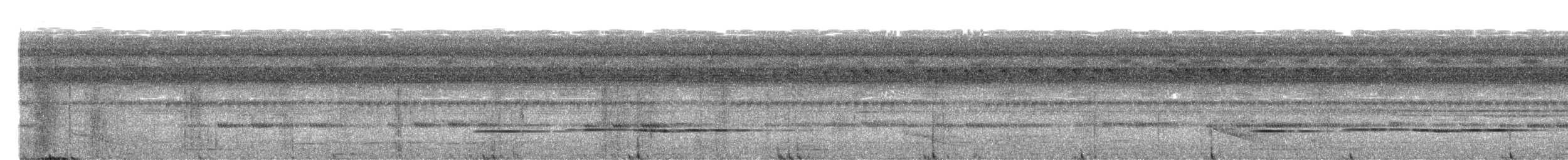 Pavonine Cuckoo - ML641590586