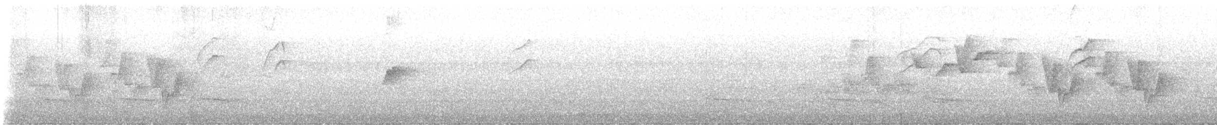 ムジミソサザイ - ML641590750