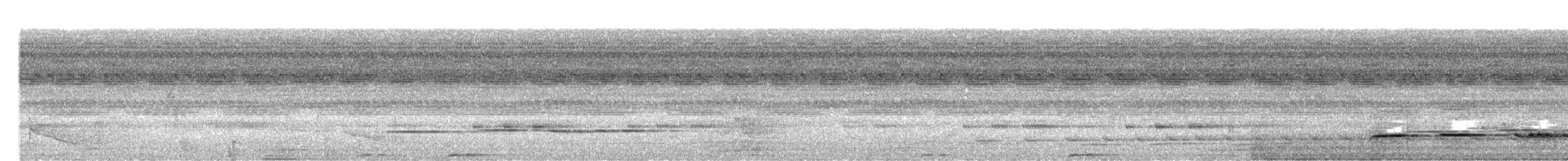 Pavonine Cuckoo - ML641590789