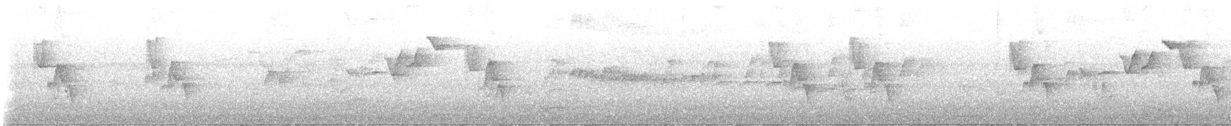 ムジミソサザイ - ML641590980