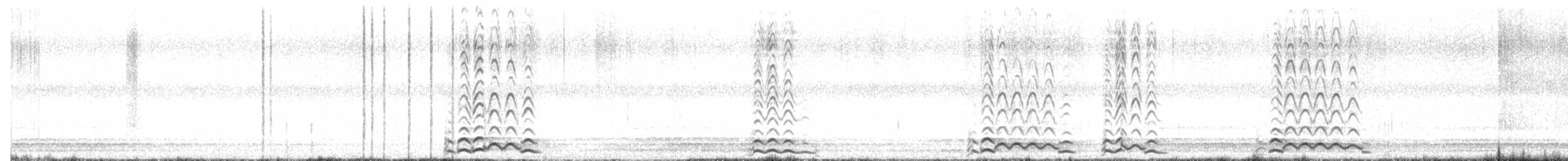 Common Loon - ML641591101