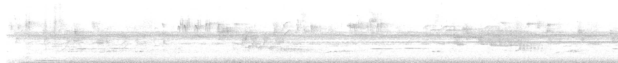 Streifenkuckuck - ML641591142