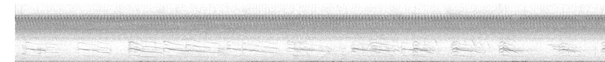 Red-shouldered Hawk - ML641591881