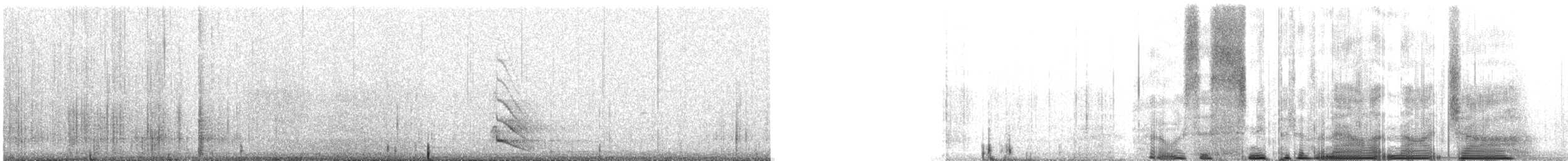 Australian Owlet-nightjar - ML641591987