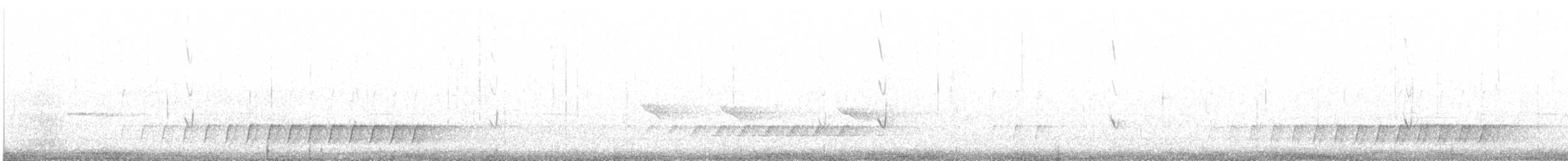 Échelet leucophée - ML641592083