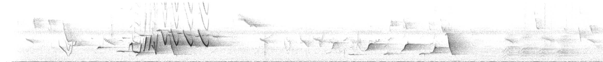 Rufous Whistler - ML641592570
