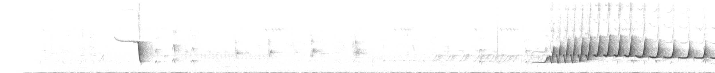 Rufous Whistler - ML641592589
