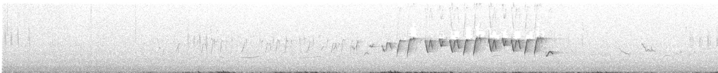 Victorin's Warbler - ML641592965