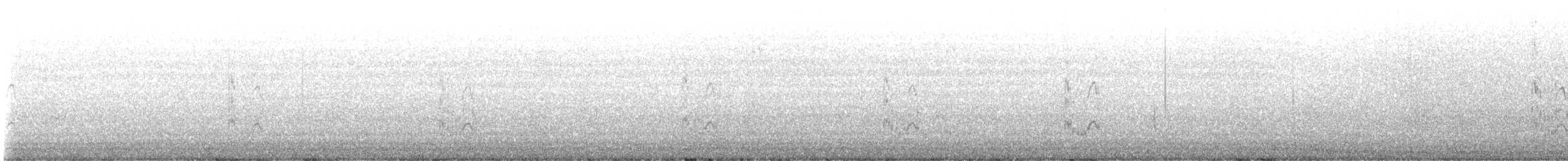 Elegant Tern - ML641592969