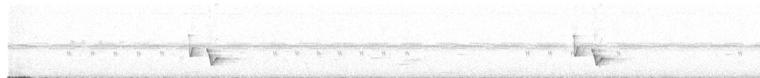 Pulitzer's Longbill - ML641593003