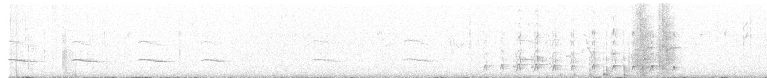 Bearded Woodpecker - ML641593011