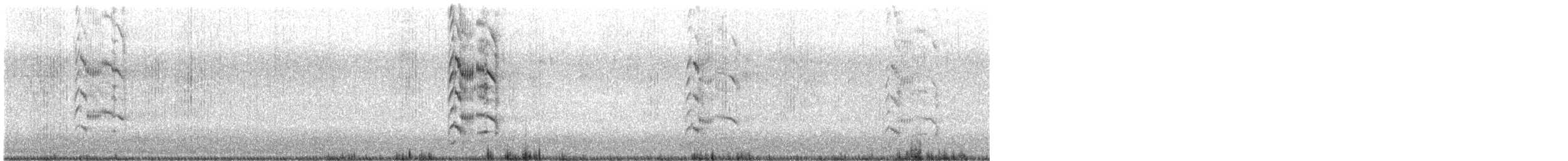 Royal Tern - ML641593697