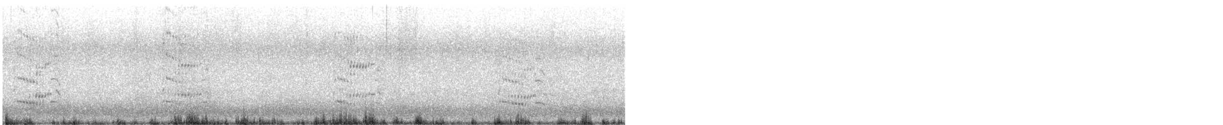 Royal Tern - ML641593721