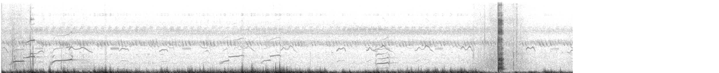 Long-billed Curlew - ML641593725