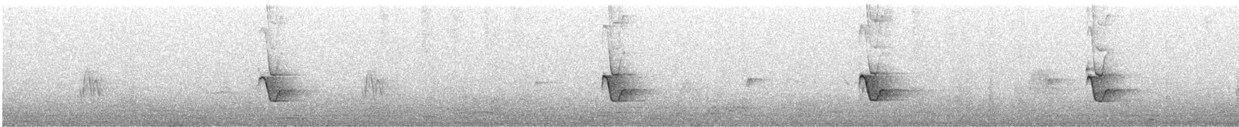 boerspurv - ML641596220
