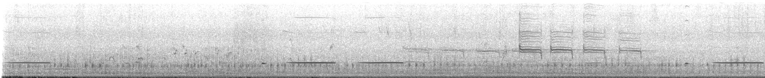 Little Grassbird - ML641597702