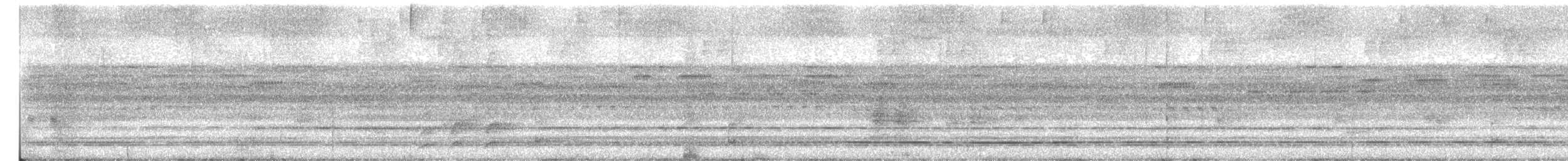 Short-tailed Nighthawk - ML641599043