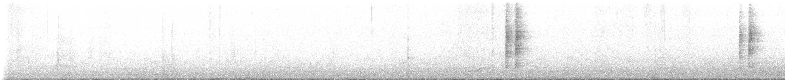 New Holland Honeyeater - ML641599473