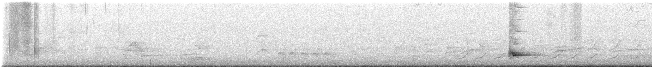 Gray Shrikethrush - ML641600675
