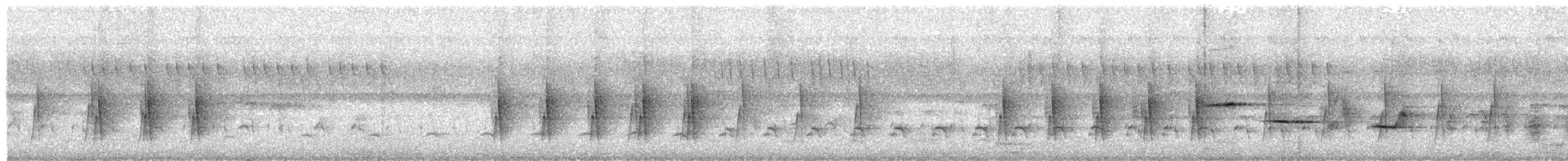 Senegal Batis - ML641600801