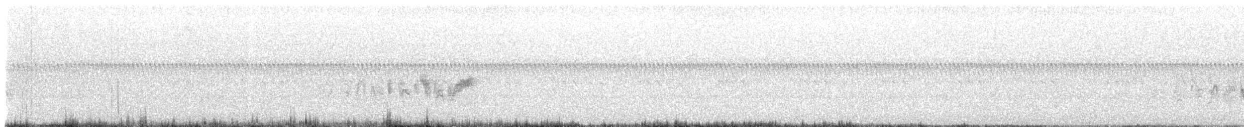 Bell's Vireo - ML641601129