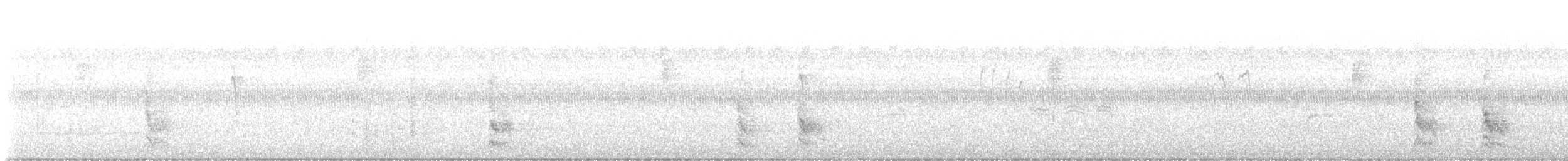 アメリカムシクイ科 - ML641601471