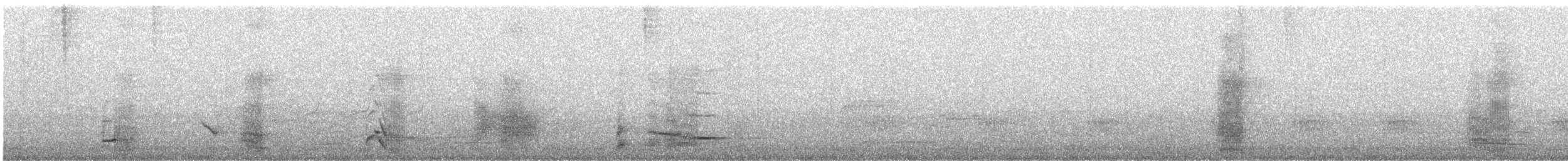 Satin Bowerbird - ML641602160