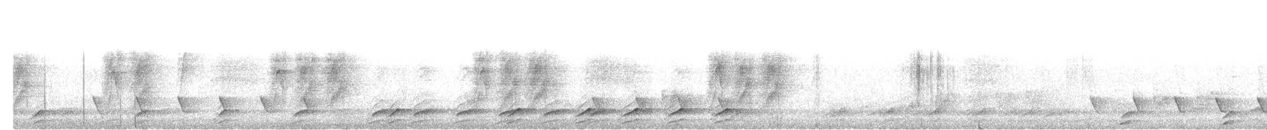 svartnakkemonark - ML641602172