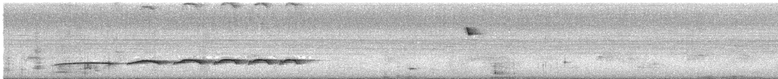 Schwarzmasken-Ameisenwürger - ML641603157