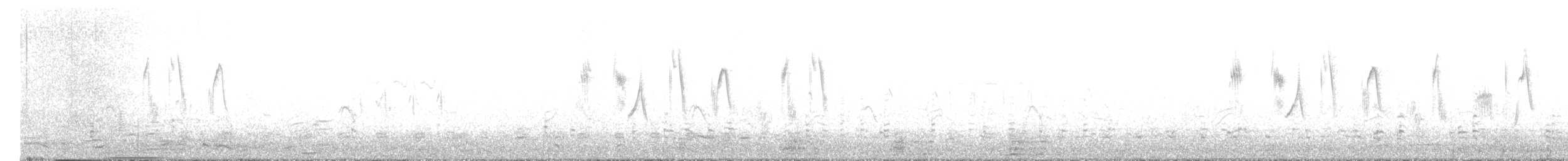 Correndera Pipit - ML641603565