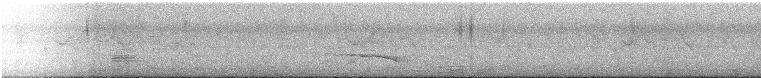 Rufous Sibia - ML641603685