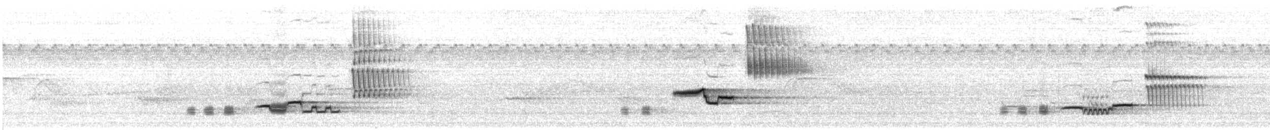 Wood Thrush - ML641604473