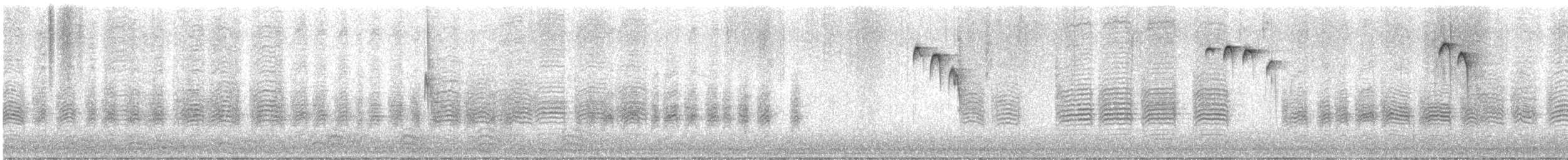 Black-capped Chickadee - ML641604848