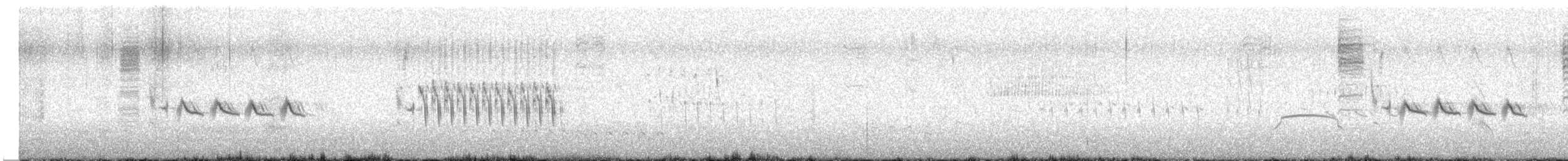 Grass Wren - ML641606076