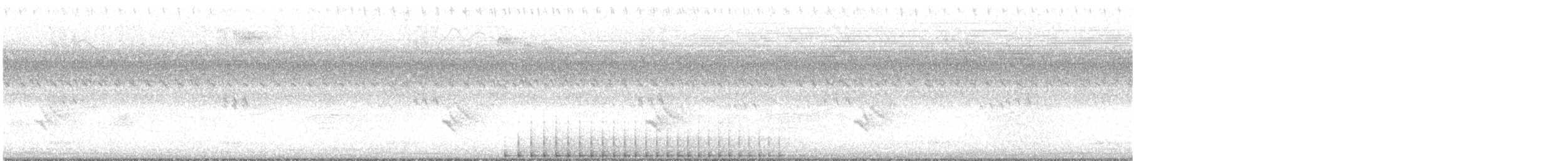 Pileated Woodpecker - ML641606727