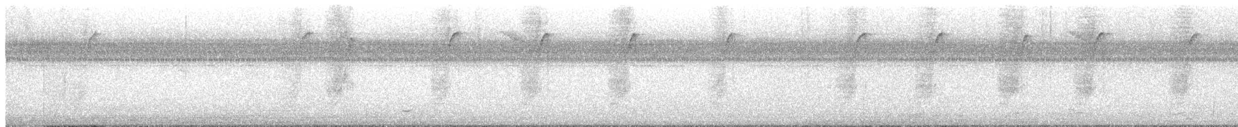 Carolina Wren - ML641606744