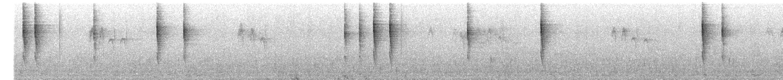 Pacific Wren (Pacific) - ML641607956