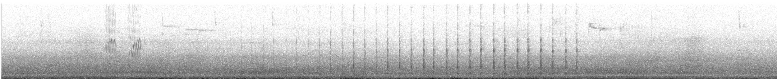 Neotropic Cormorant - ML641607998