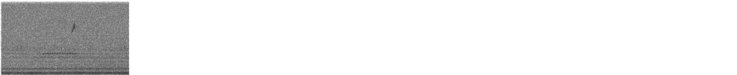 new world warbler sp. - ML641608026