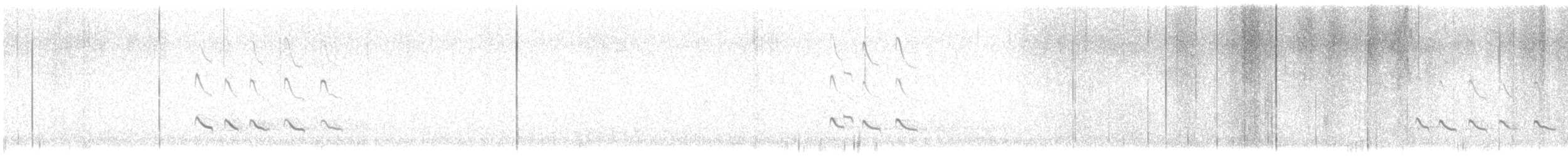 Үхэр хөгчүү - ML641608238