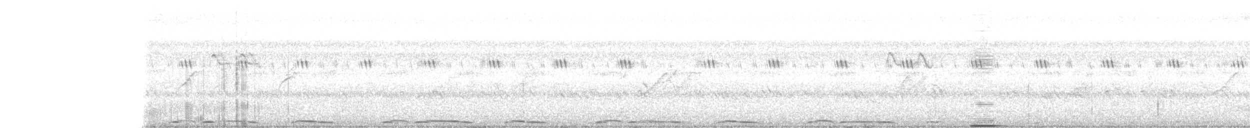 Tortora dal collare - ML641608625