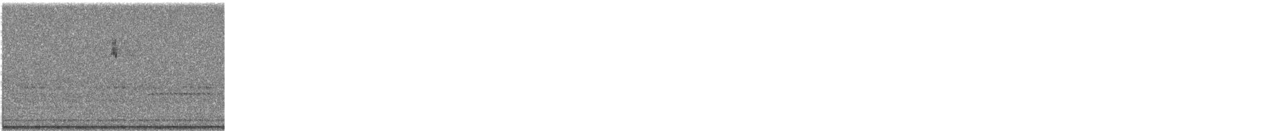 new world warbler sp. - ML641608922