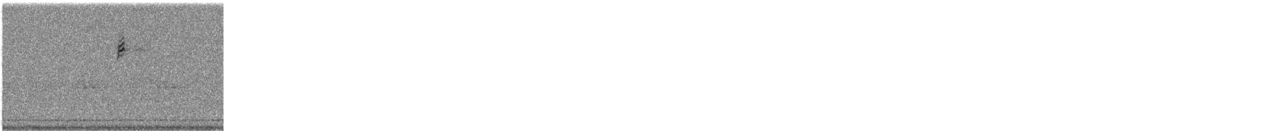 new world warbler sp. - ML641608923