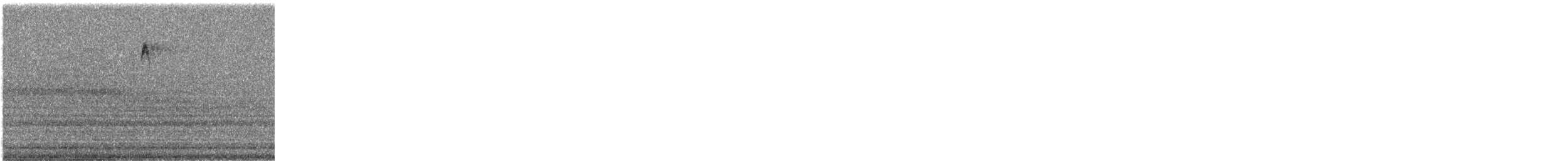 passerine sp. - ML641609777