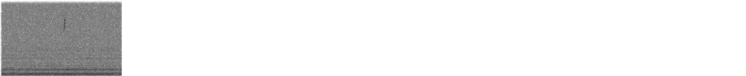 new world warbler sp. - ML641609799