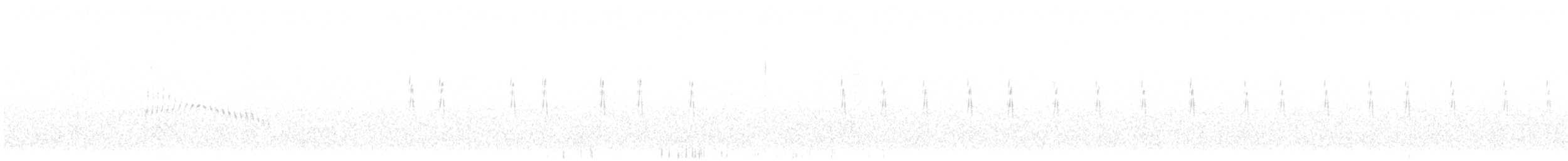 Scrub Warbler (Western) - ML641610049